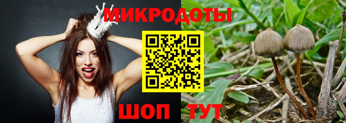 Галлюциногенные грибы прущие грибы  Вход с VPN  где купить   Ижевск  Псилоцибиновые грибы мицелий 